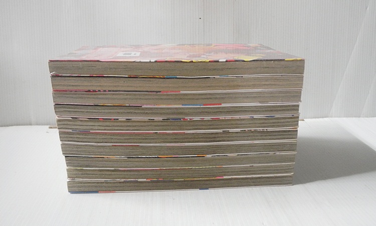 มิโดริจังกับเจ้าชายทั้งสิบเอ็ด 10 เล่มจบ / IKEYAMADA GO