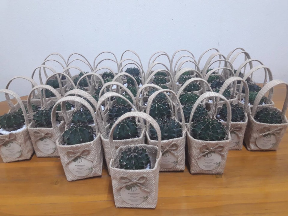 ถุงผ้ากระสอบใส่ต้นไม้จิ๋ว