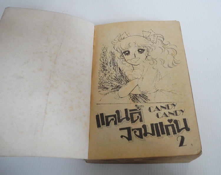 แคนดี้จอมแก่น เล่ม 2 (2 เล่มจบ) / Igarashi Yumiko