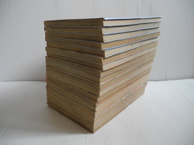 บอดี้การ์ดสาวจอมซ่าส์ 19 เล่มจบ