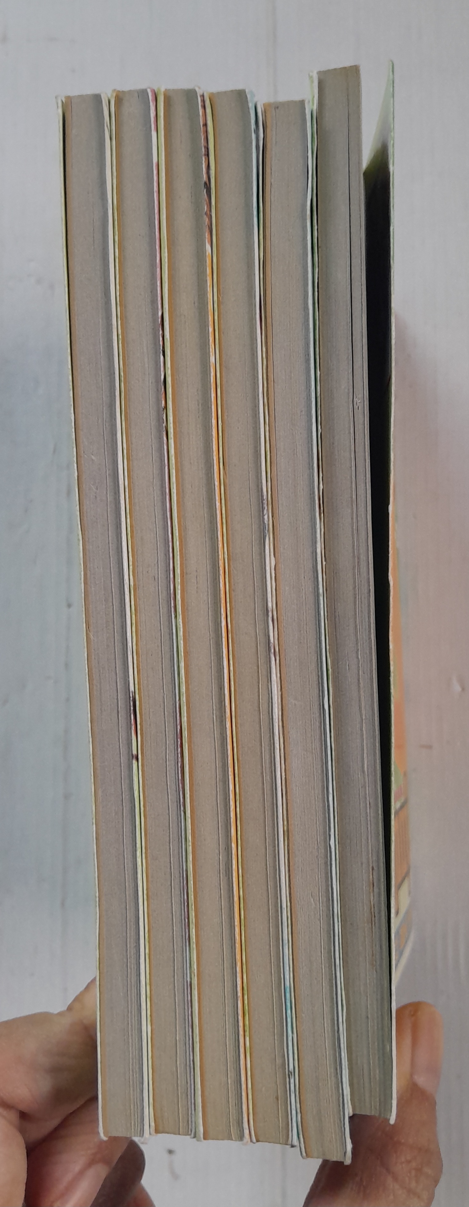 คู่แฝดรสมิ้นต์ 6 เล่มจบ / Wataru Yoshizumi