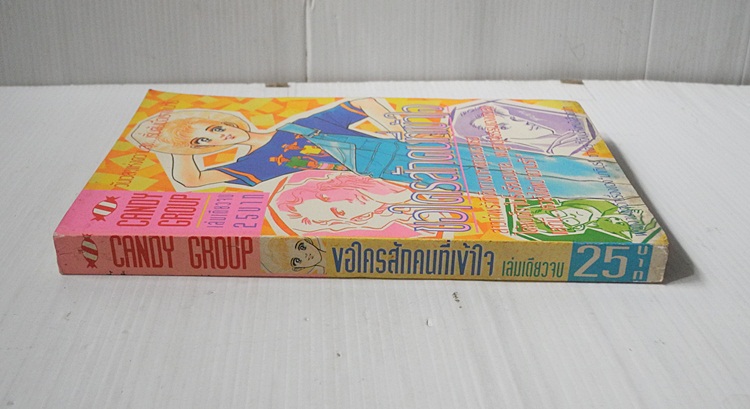 ขอใครสักคนที่เข้าใจ (เล่มเดียวจบ) / Makimura Satoru