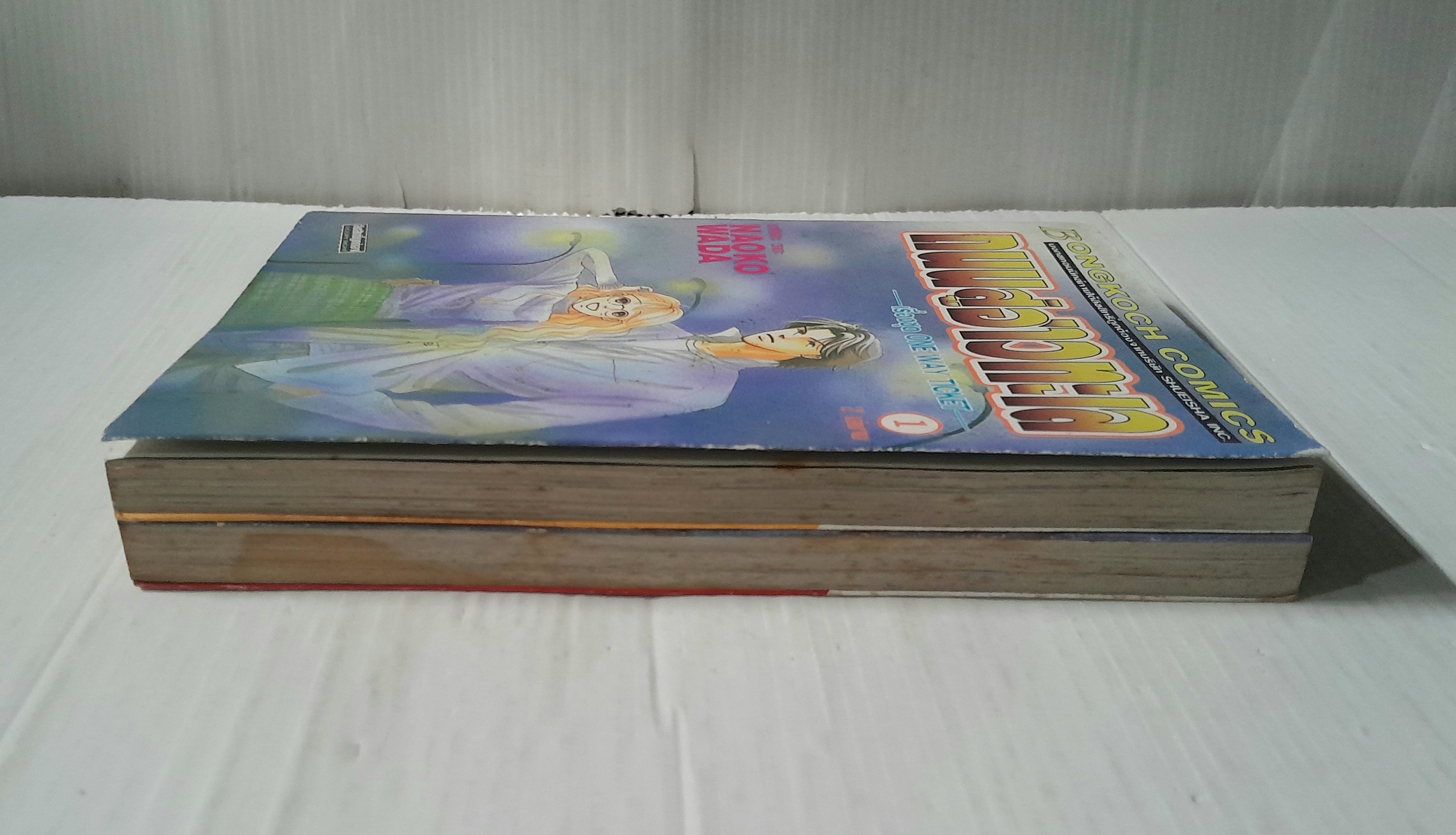 ถนนสู่อ่าวทะเล 2 เล่มจบ / Naoko Wada
