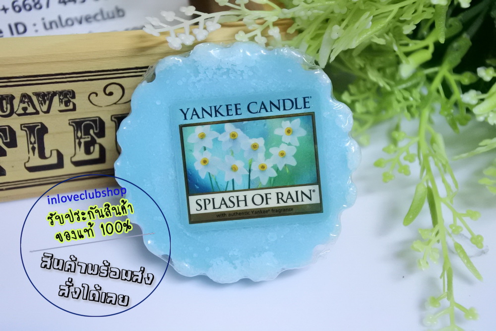 Yankee Candle / Tarts Wax Melts 22 g. (Splash of Rain)