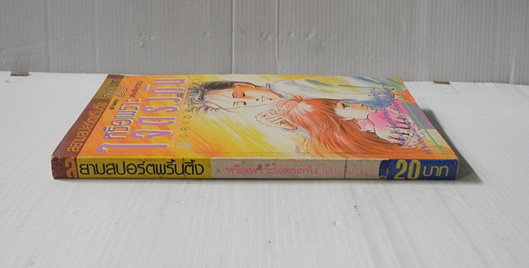 หรือเพราะใจตรงกัน (เล่มเดียวจบ) / Morioka Mari