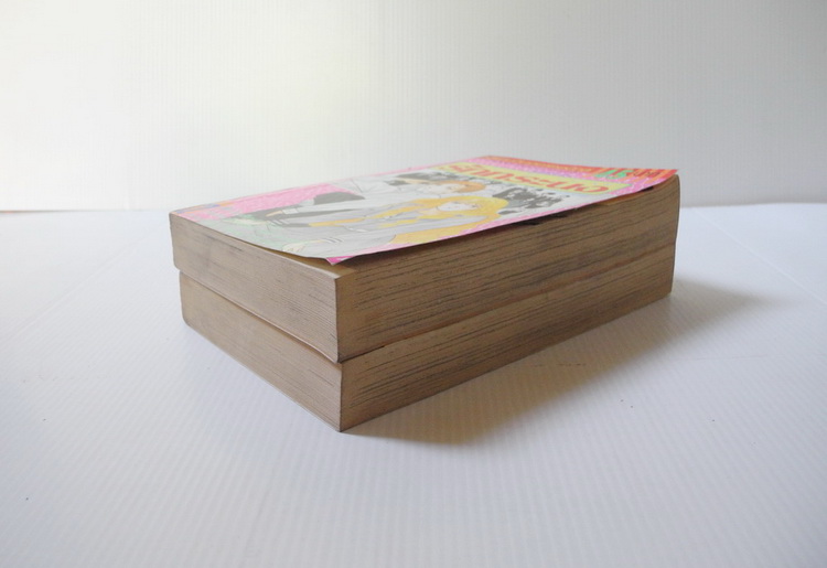 รักทระนง 2 เล่มจบ / HIJIRI CHIAKI