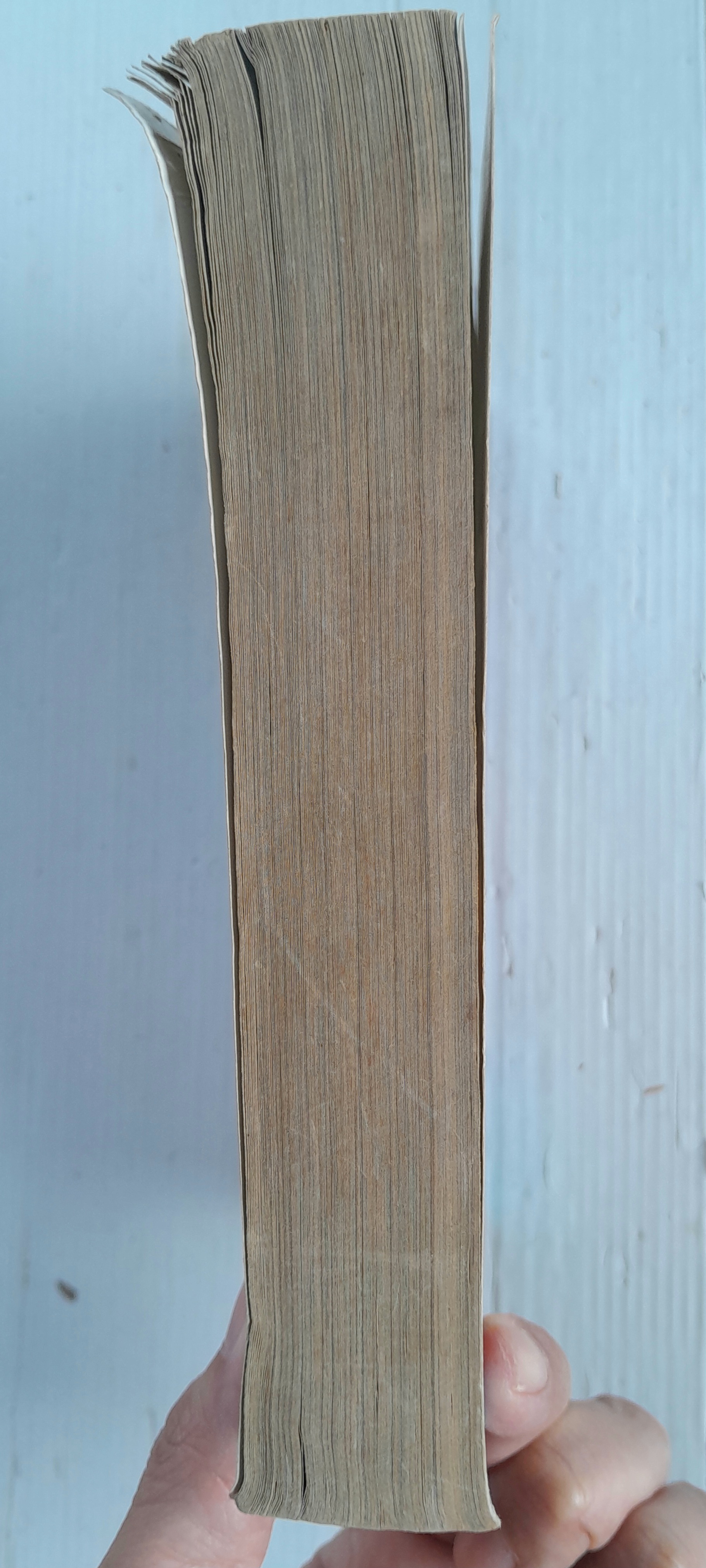 เพลิงแค้นเพลิงปรารถนา (เล่มเดียวจบ)