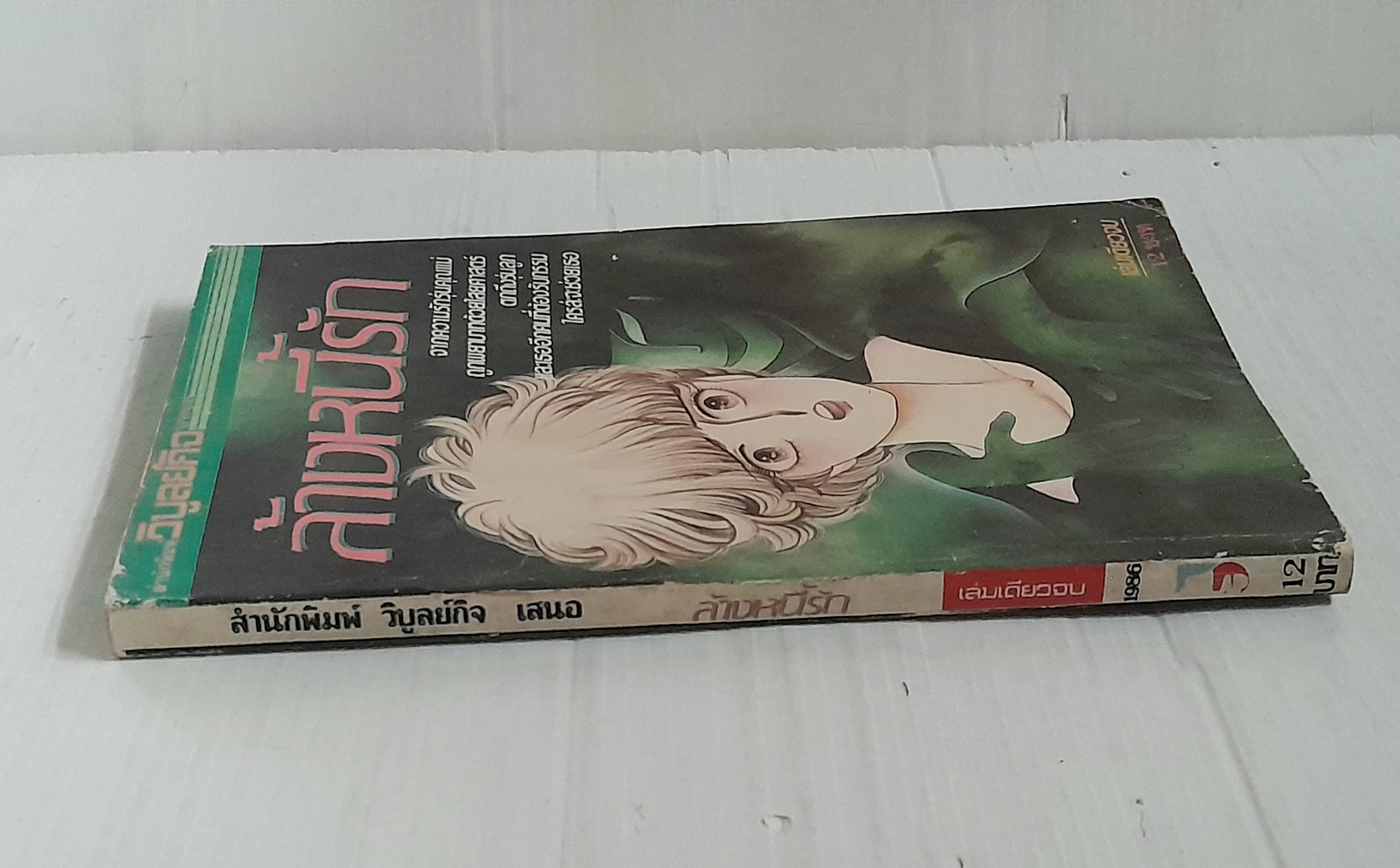 ล้างหนี้รัก (เล่มเดียวจบ)