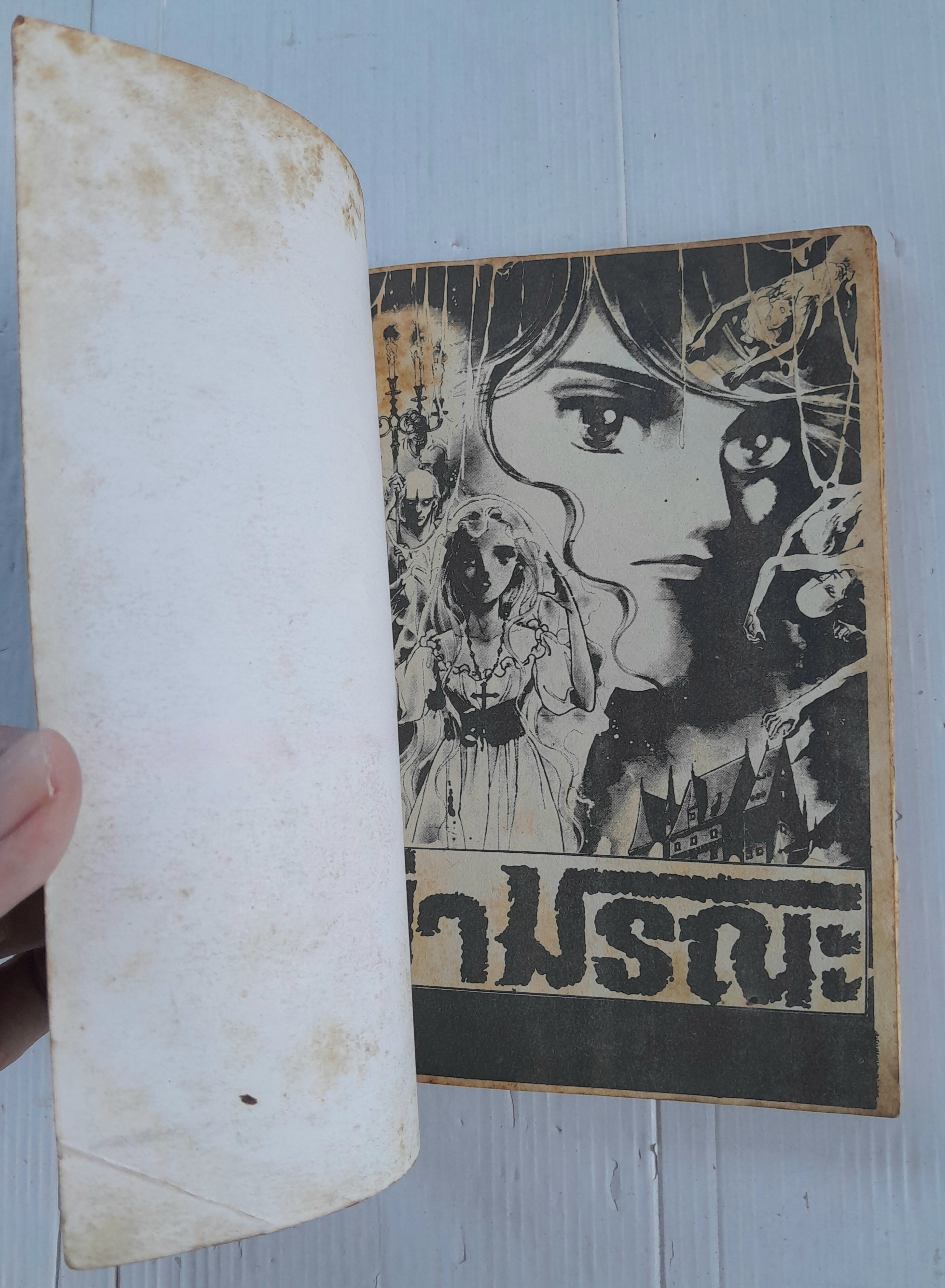 ป่ามรณะ (เล่มเดียวจบ)