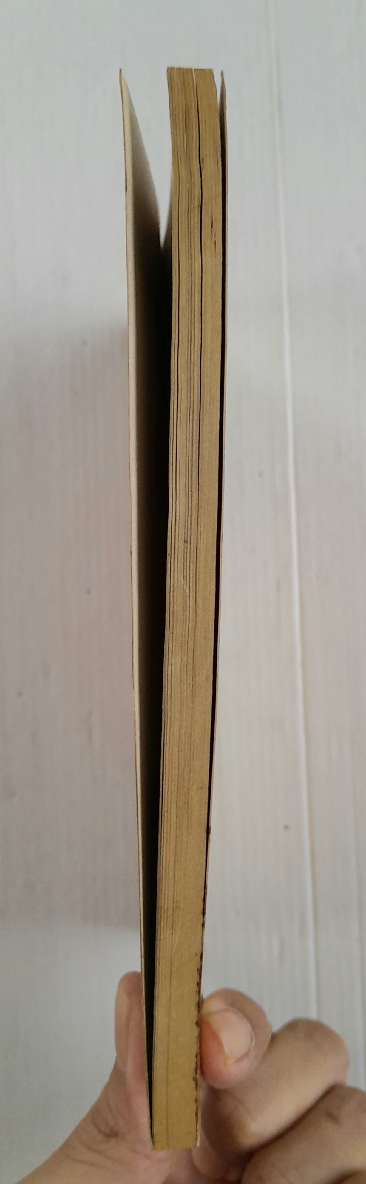 ตะลุยแดนไอยคุปต์ (เล่มเดียวจบ) / Maki Akemi