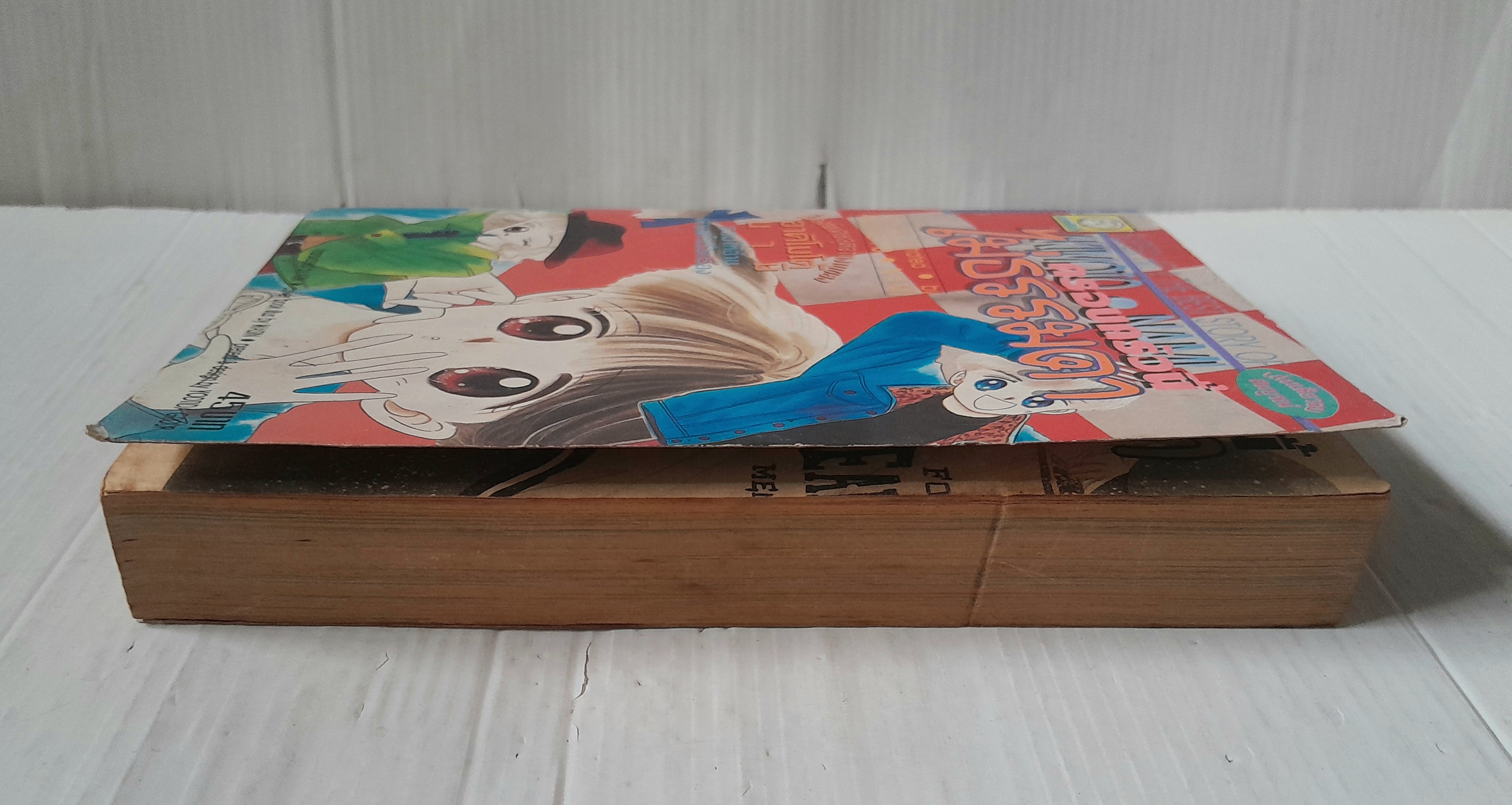 ครอบครัวนี้ไม่ธรรมดา (เล่มเดียวจบ) / อาคิโมโต้ นามิ