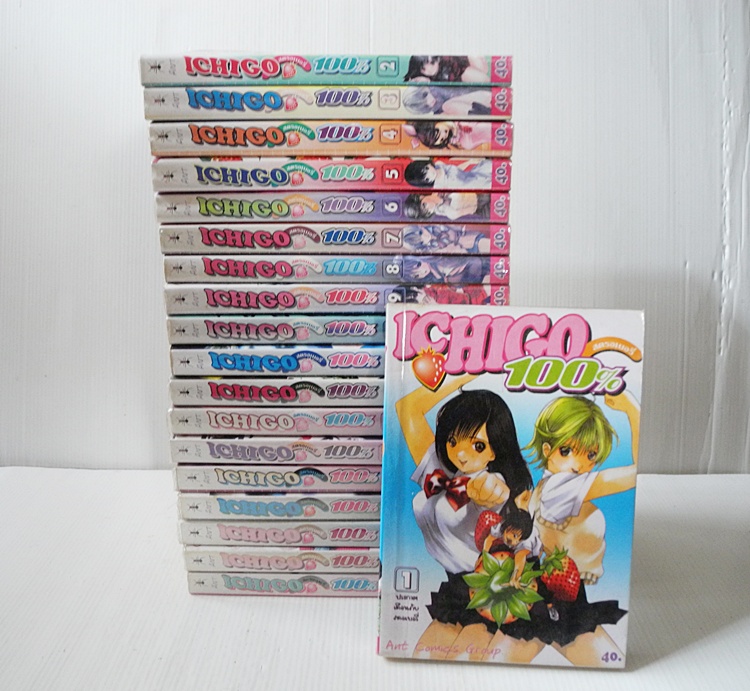 ICHIGO อิชิโกะ 19 เล่มจบ