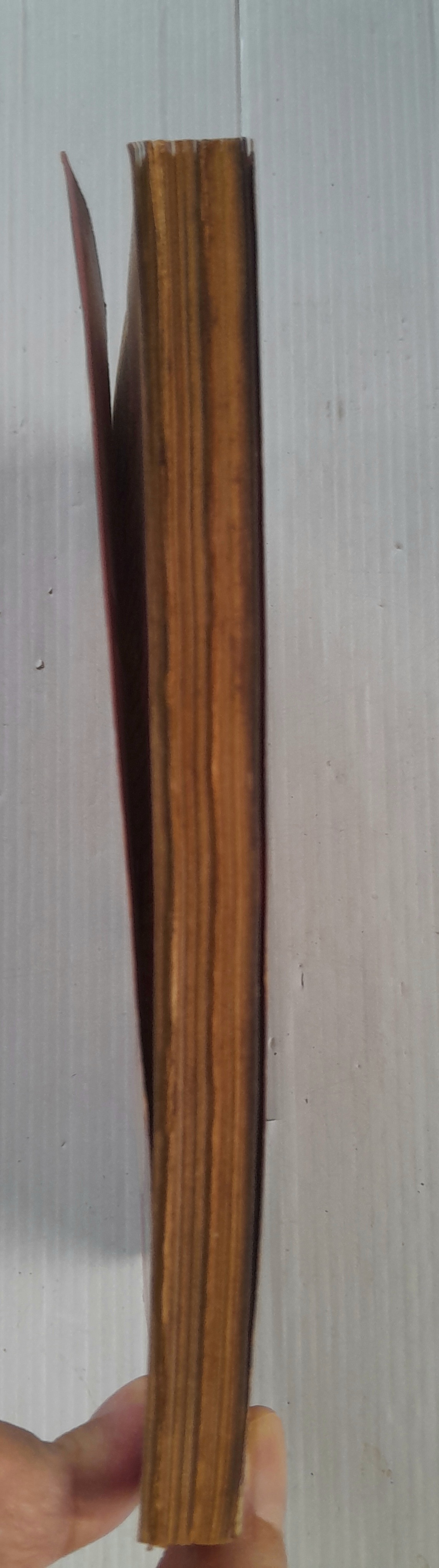 Gift Magazine เล่ม 11