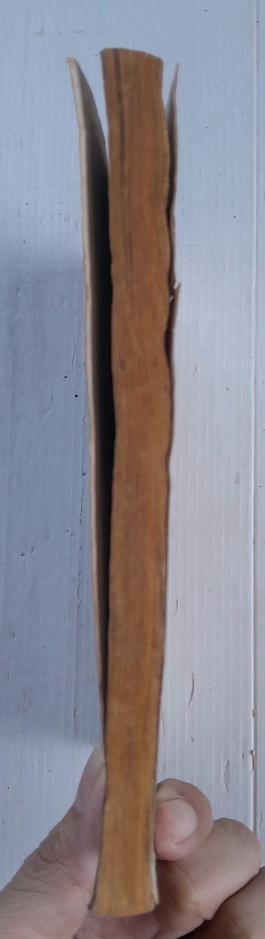 บ่วงรัก (เล่มเดียวจบ)