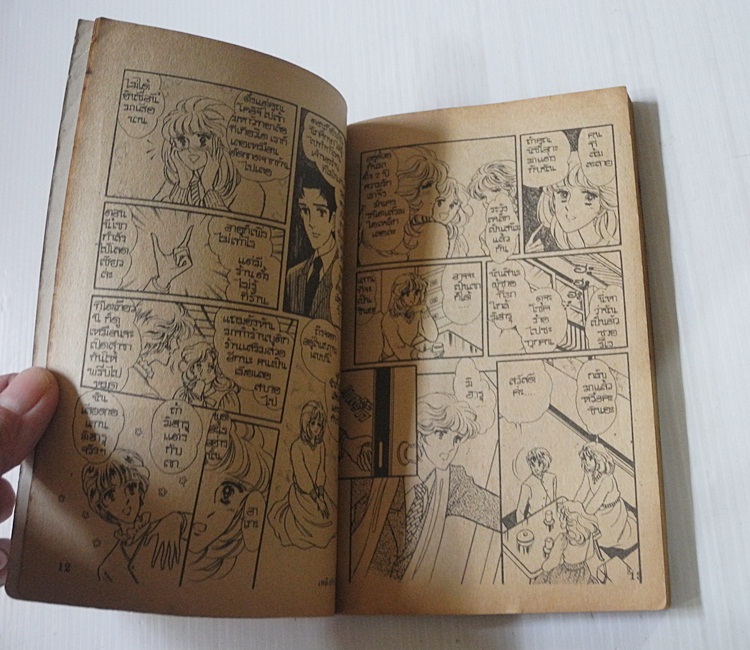เพลิงรักไฟแค้น (เล่มเดียวจบ) / Kikukawa Chikako