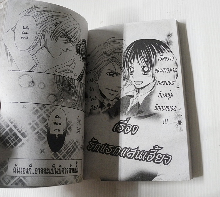 เสน่ห์รักมายู Series 10 (เล่มเดียวจบ) / Mayu Shinjo
