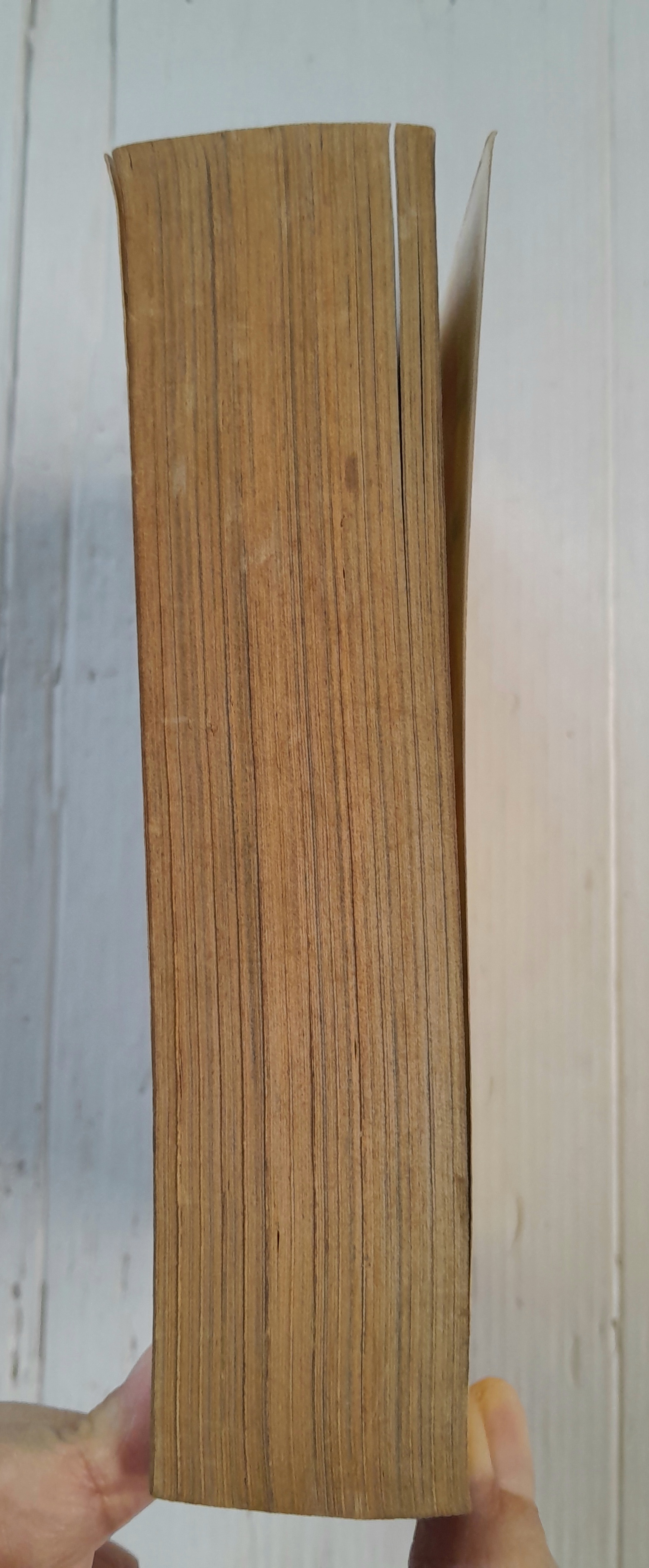 ้เพียงเรามีเรา (เล่มเดียวจบ) / Fujimura Mari