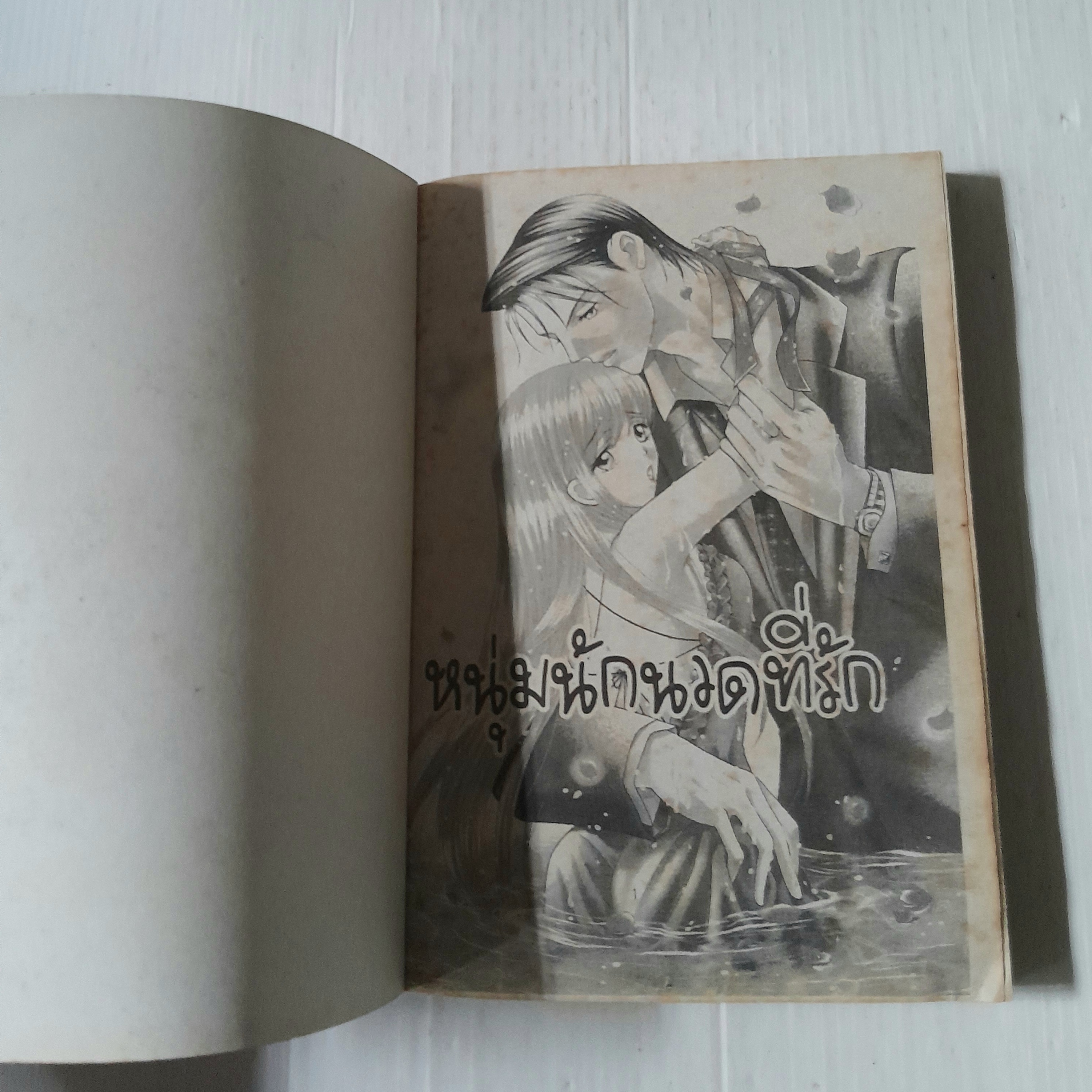 หนุ่มนักวาดที่รัก (เล่มเดียวจบ)