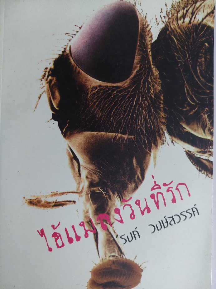 ไอ้แมลงวันที่รัก / รงค์ วงษ์สวรรค์