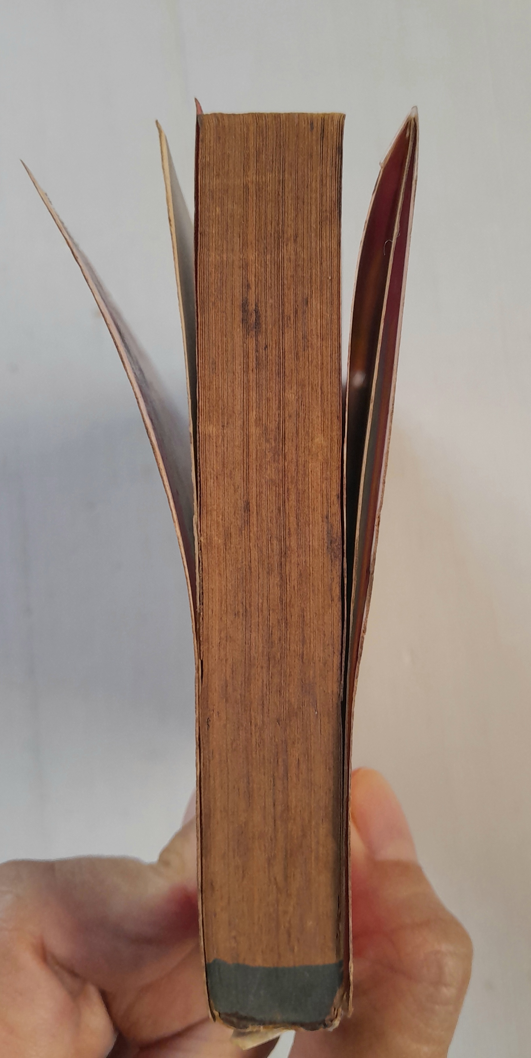 บันทึกลับใน V.D.O (เล่มเดียวจบ) / Matsumoto Yoko