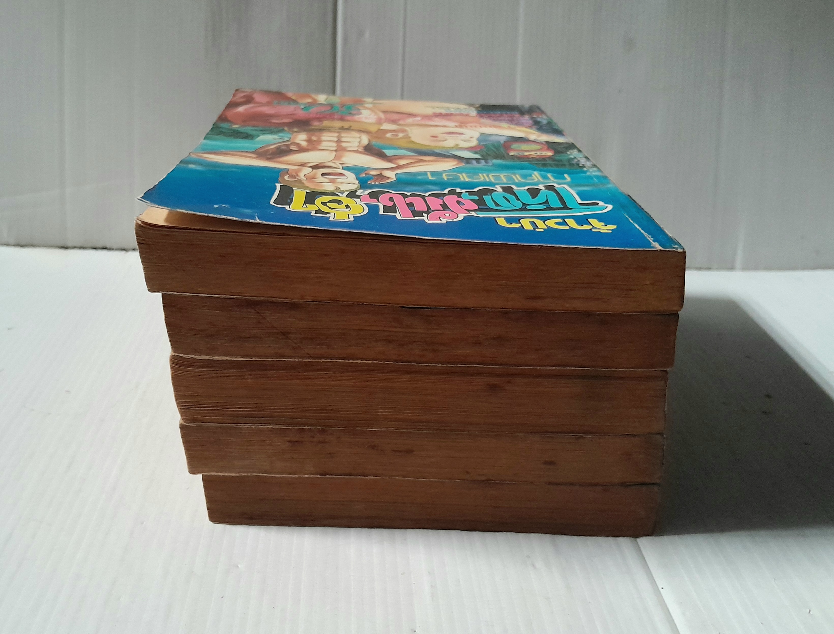 จ้าวป่า โหด มันส์ ฮา (ภาคพิเศษ) 5 เล่มจบ