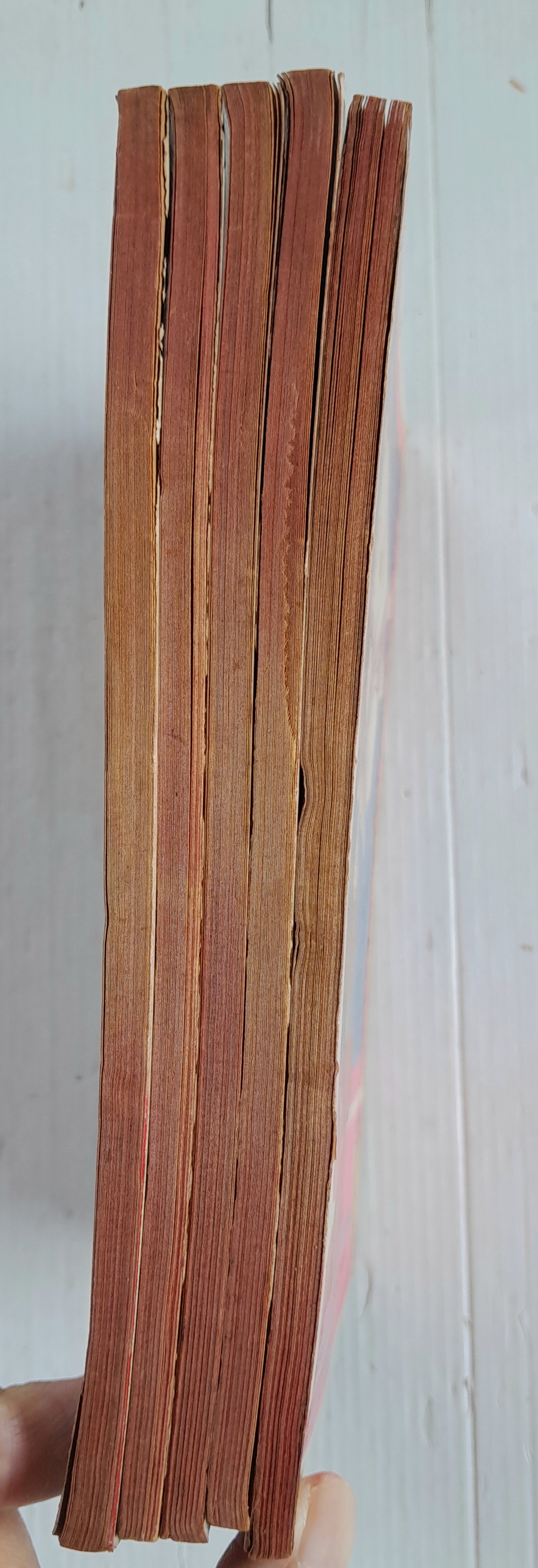 ออเร้นซ์ซิตี้ 5 เล่มจบ / นาคะ โทโมโกะ