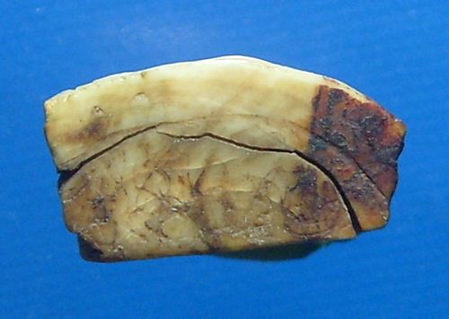 พระปิดตาหลวงพ่อขำวัดแก้วเจริญ