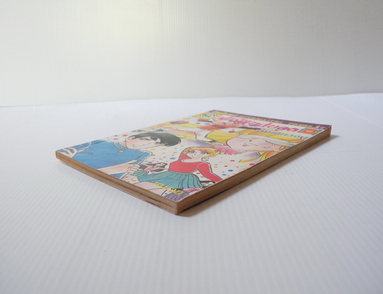 นักรักเบสบอล ( เล่มเดียวจบ )