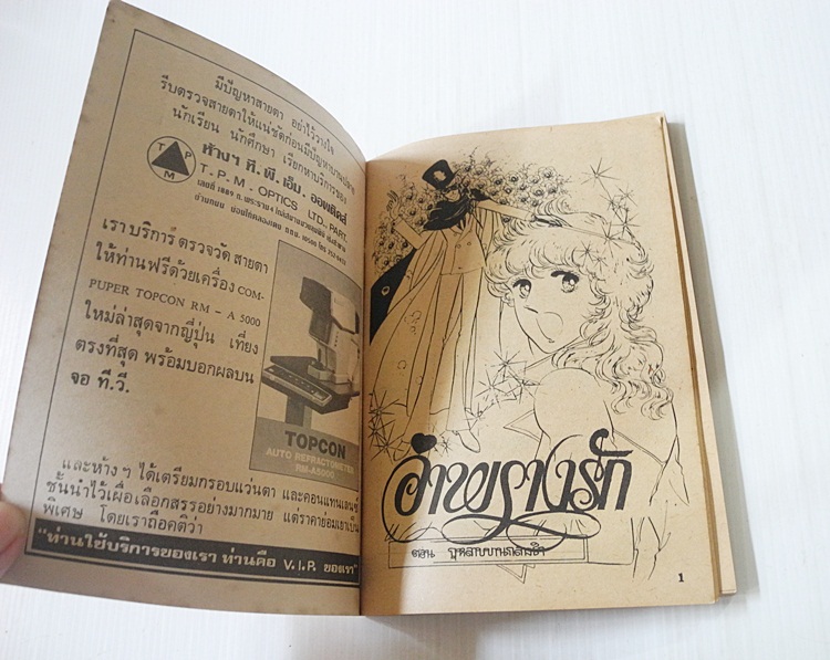 อำพรางรัก ( เล่มเดียวจบ )