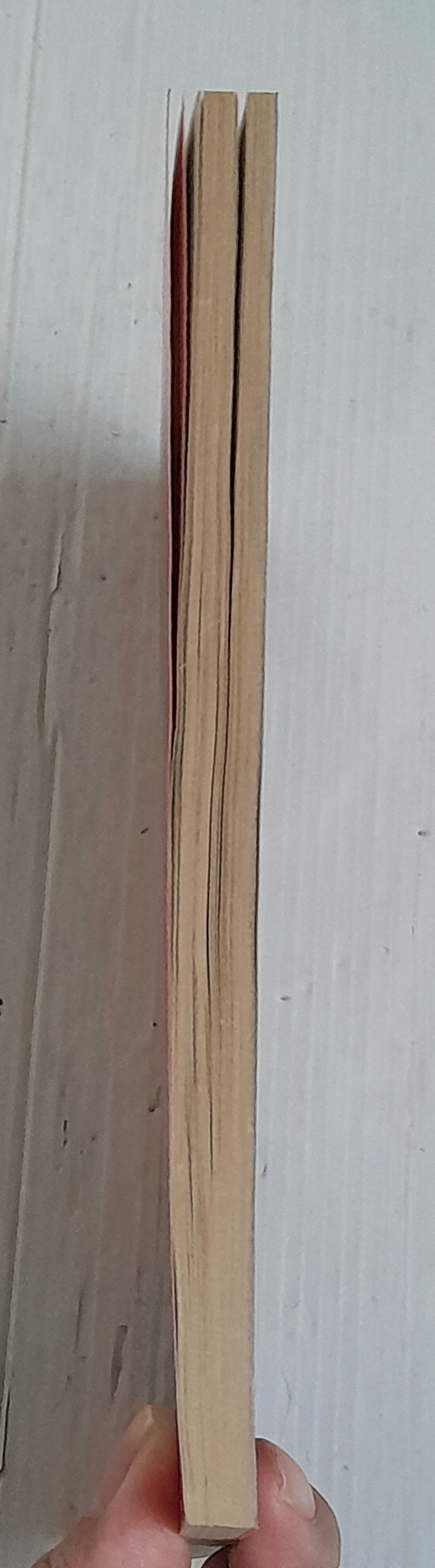 เลดี้มิซึโกะ (เล่มเดียวจบ) / Yamato Waki