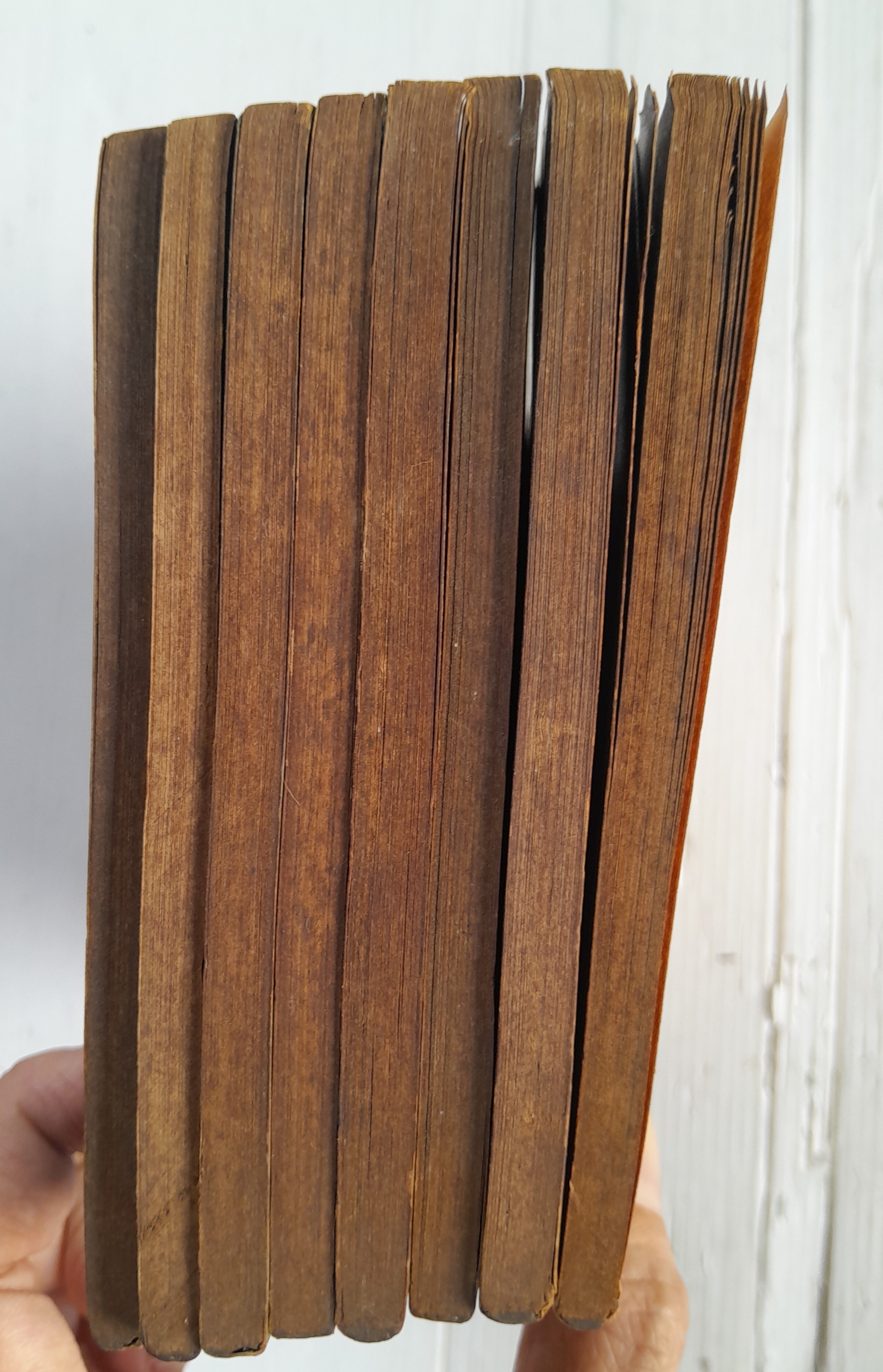 สู้เขามายูโกะ 8 เล่มจบ / ชิบาตะ อายูโกะ