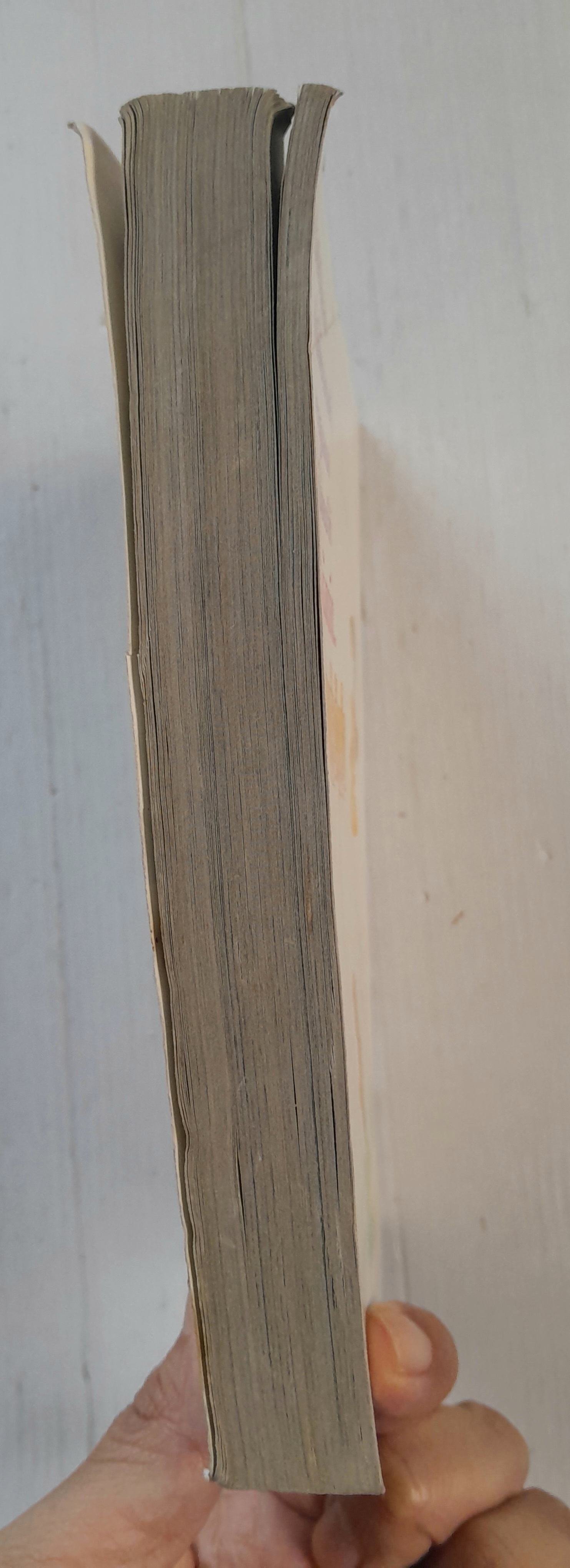 อ้อนรักอ้อนใจ (เล่มเดียวจบ)