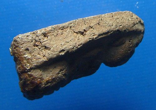 หลวงพ่อโตกรุวัดบางกระทิง