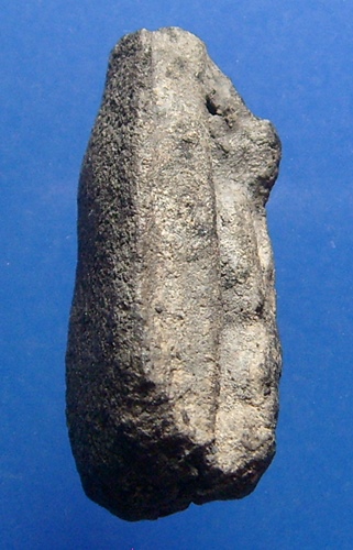 หลวงปู่ทวดเนื้อว่าน