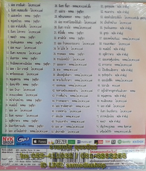 MP3 เพลงสนุกลูกทุ่งพื้นบ้าน