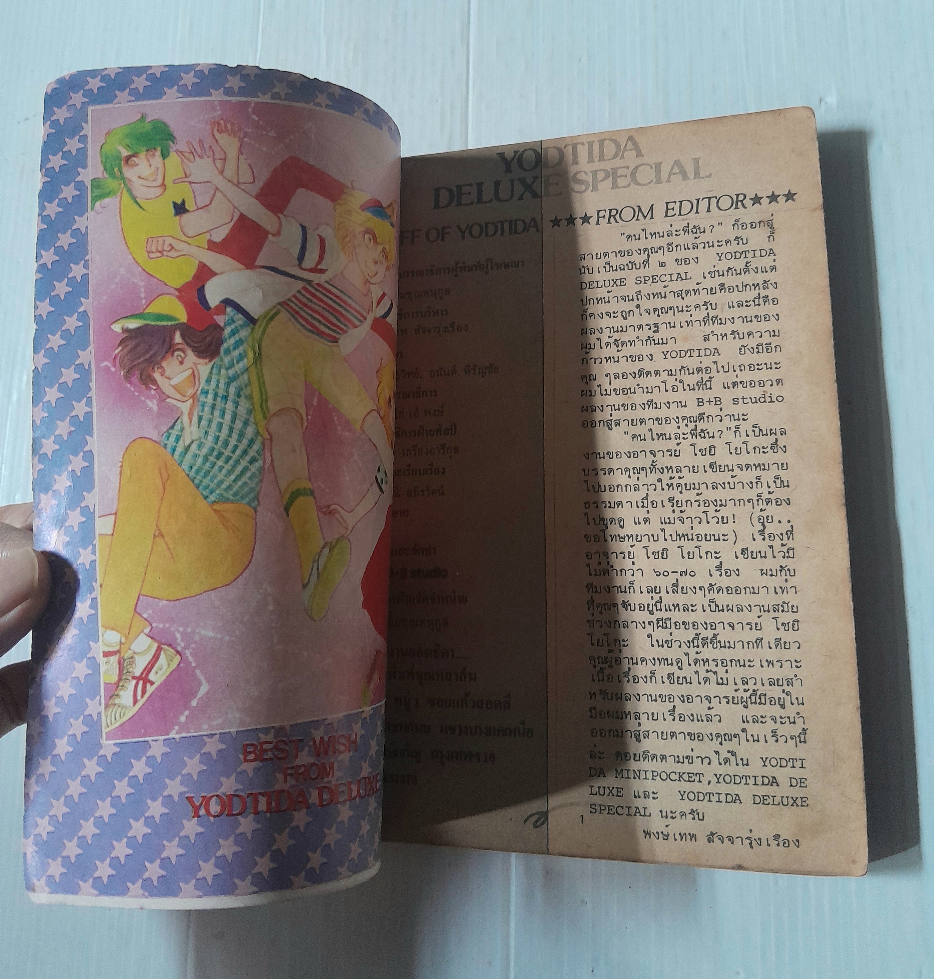 คนไหนล่ะพี่ฉัน? (เล่มเดียวจบ) / Shoji Yoko