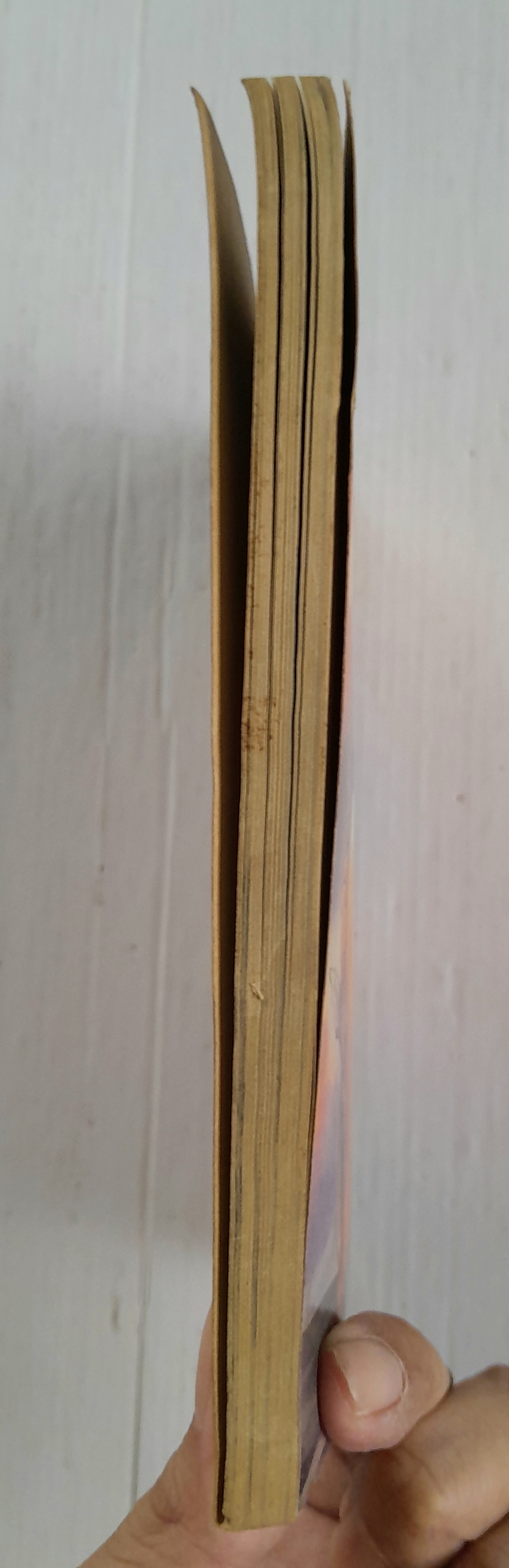 เทพบุตรแดนปีศาจ (เล่มเดียวจบ) / Kagizawa Rio