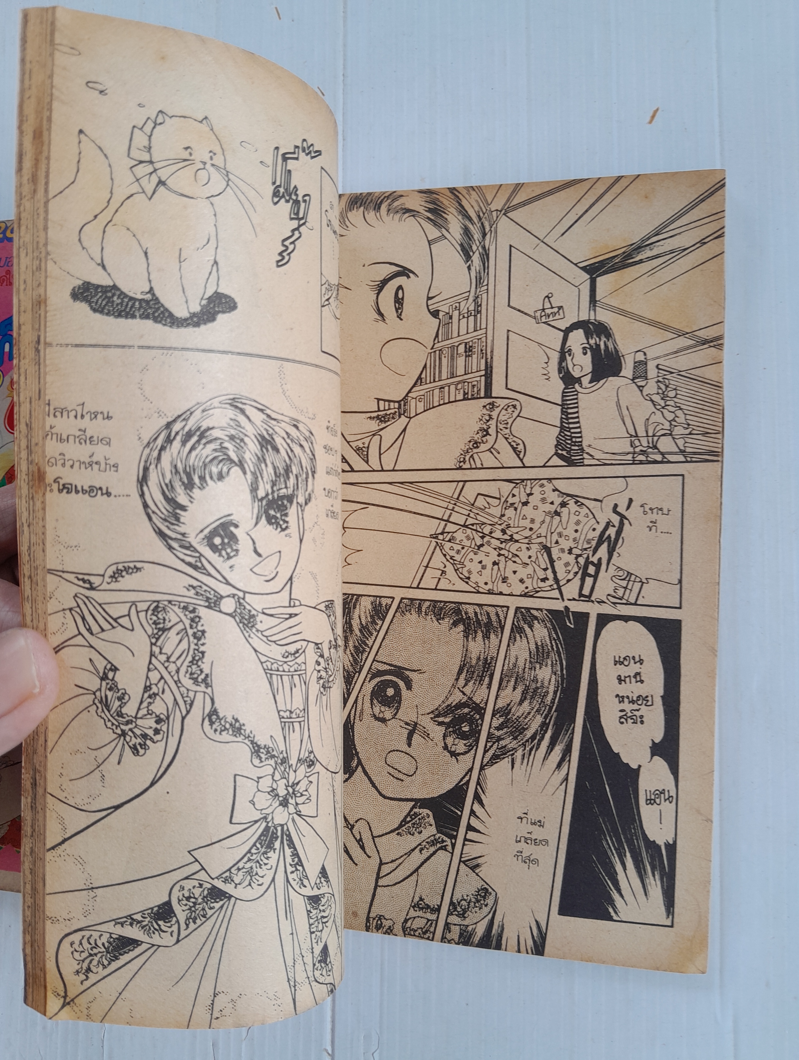 แอนก็คือแอน 3 เล่มจบ / อิงาราชิ ยูมิโกะ