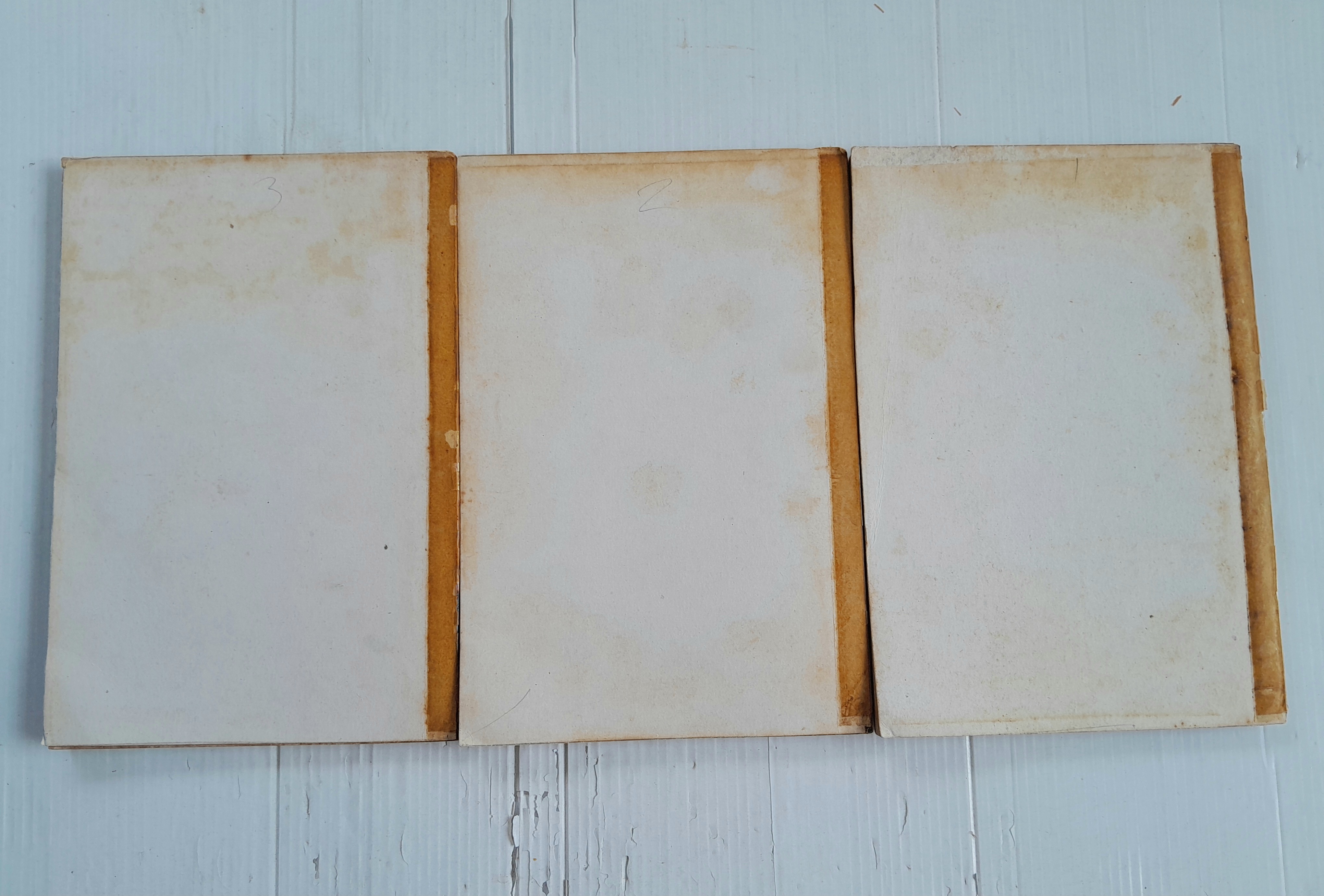 แอนก็คือแอน 3 เล่มจบ / อิงาราชิ ยูมิโกะ