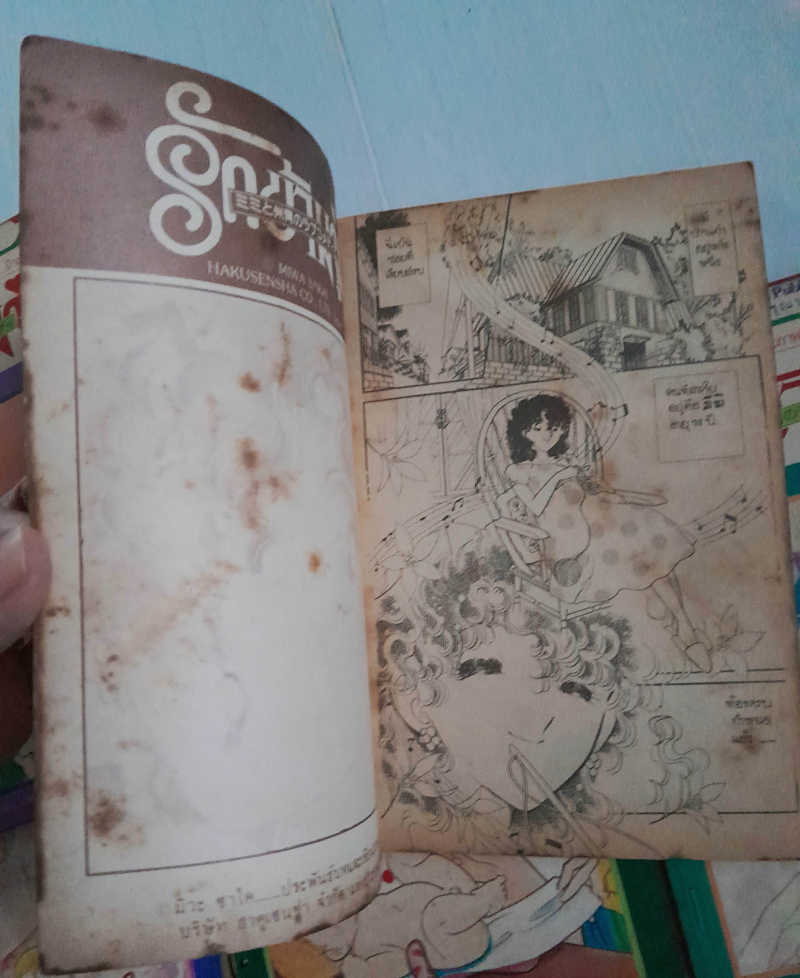 รักข้ามรุ่น 12 เล่มจบ / มิวะ ซาคาอิ