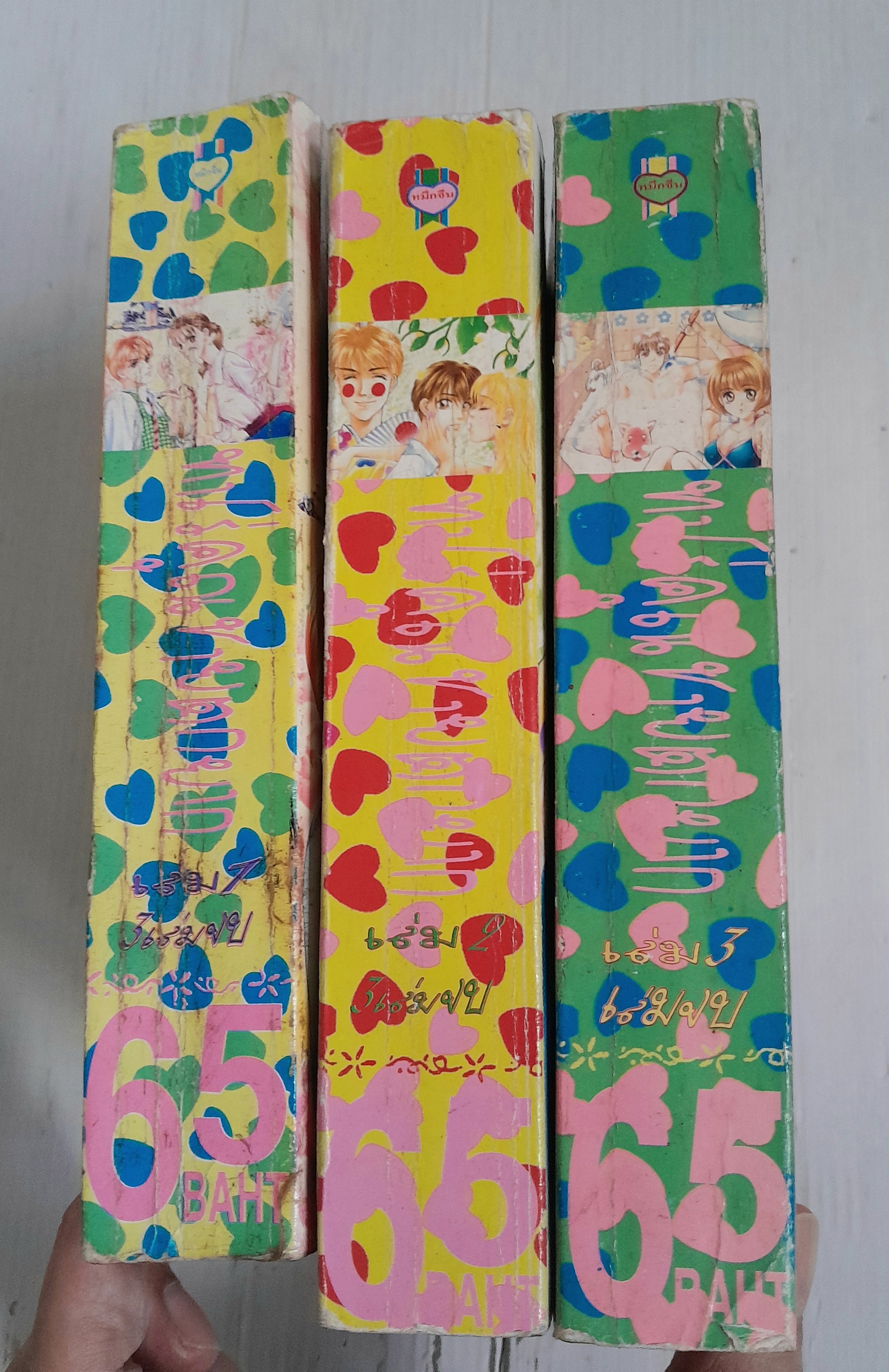 ทาโร่ คุณชายตกยาก 3 เล่มจบ / Morinaga Ai