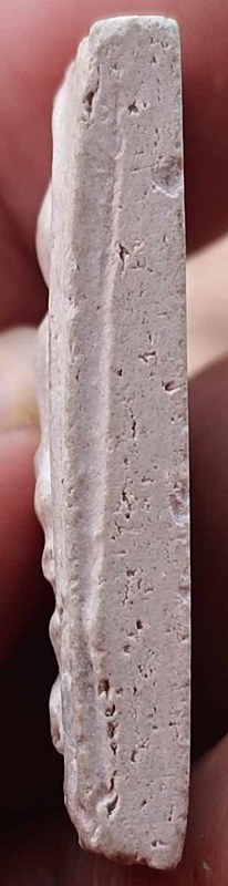 พระสมเด็จบางขุนพรหม ปี๒๕๓๑