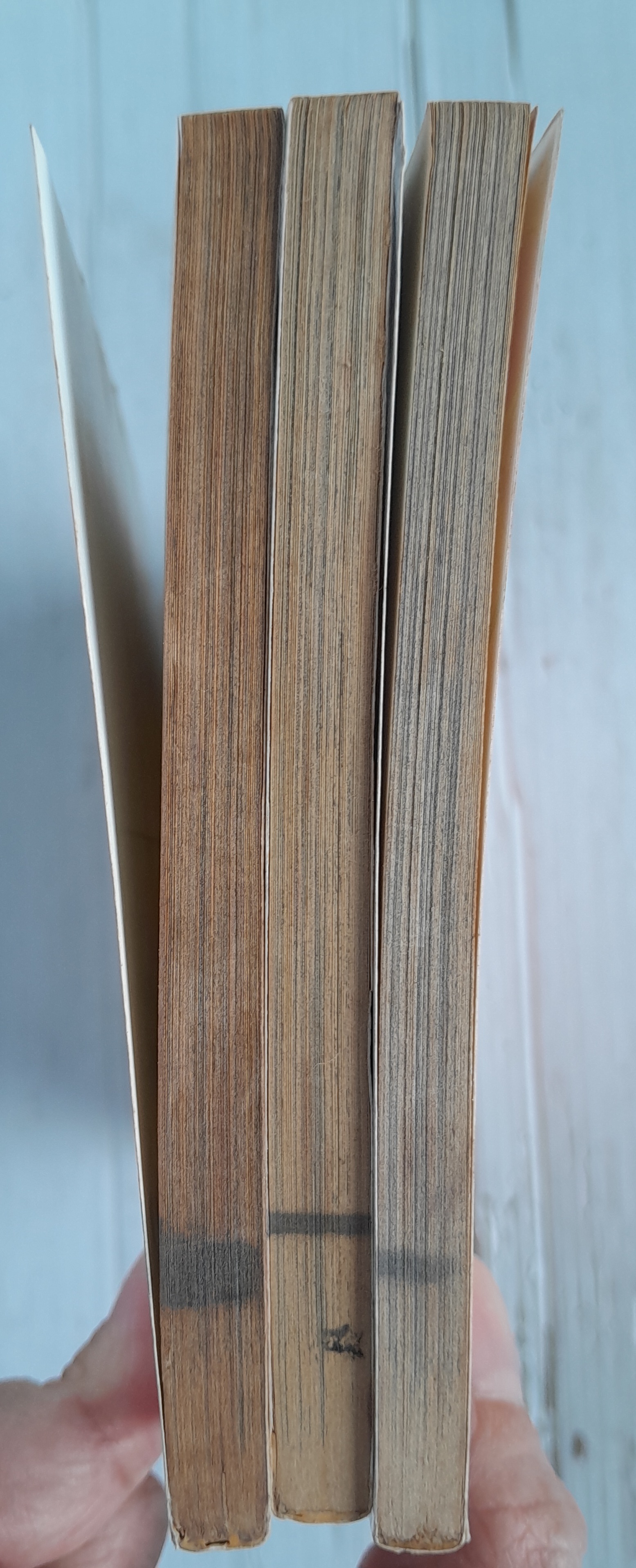 Cotton Candy 3 เล่มจบ / Kumi Makimura