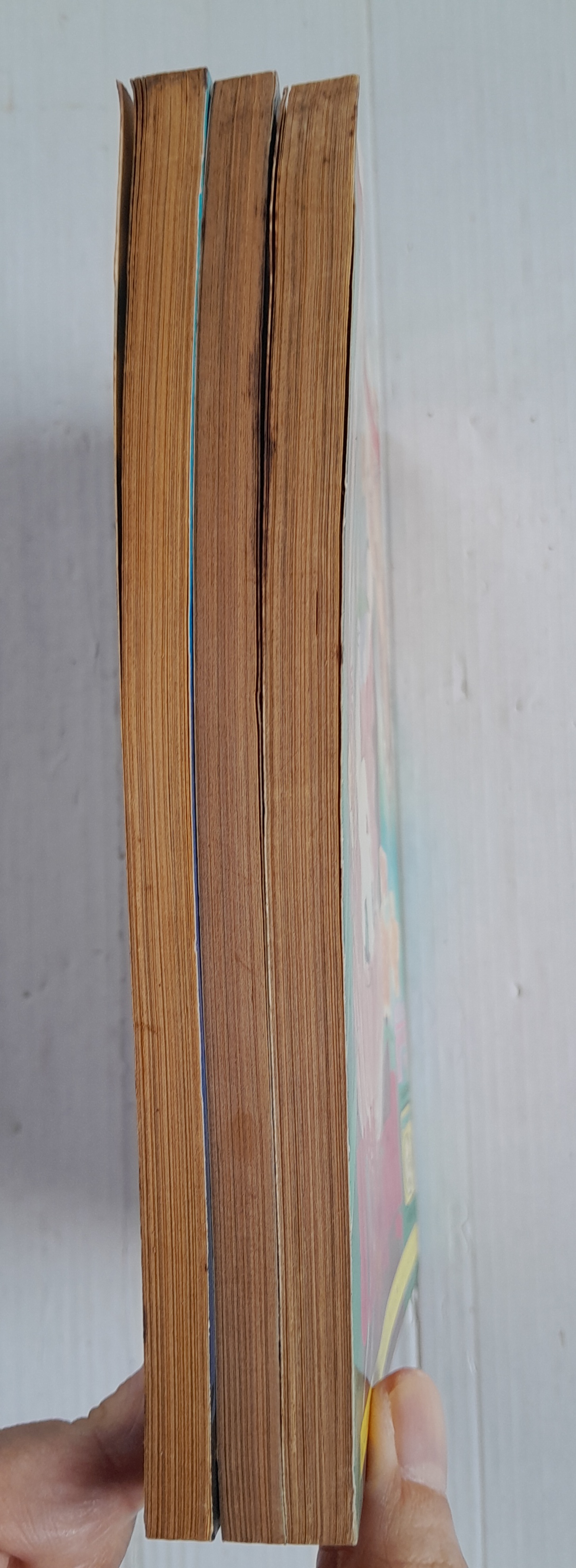 บัญญัติผีนรก 3 เล่มจบ / มัตสึโมโตะ โยโกะ