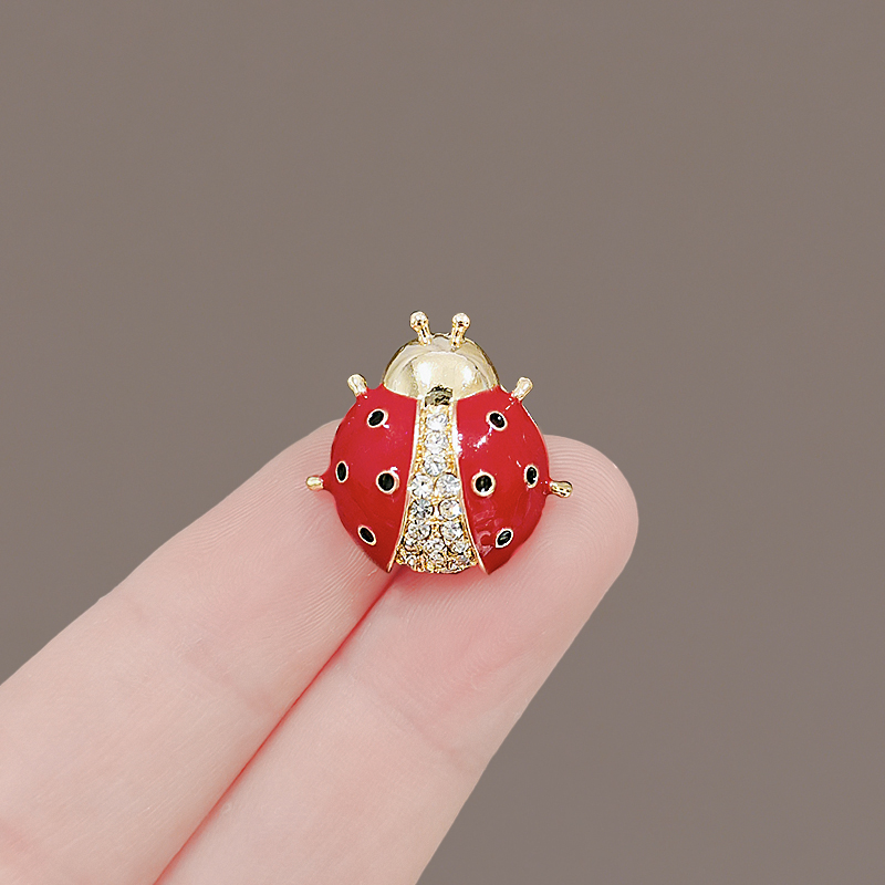 เข็มกลัด เข็มกลัดสวยๆ เข็มกลัดติดเสื้อ Brooch