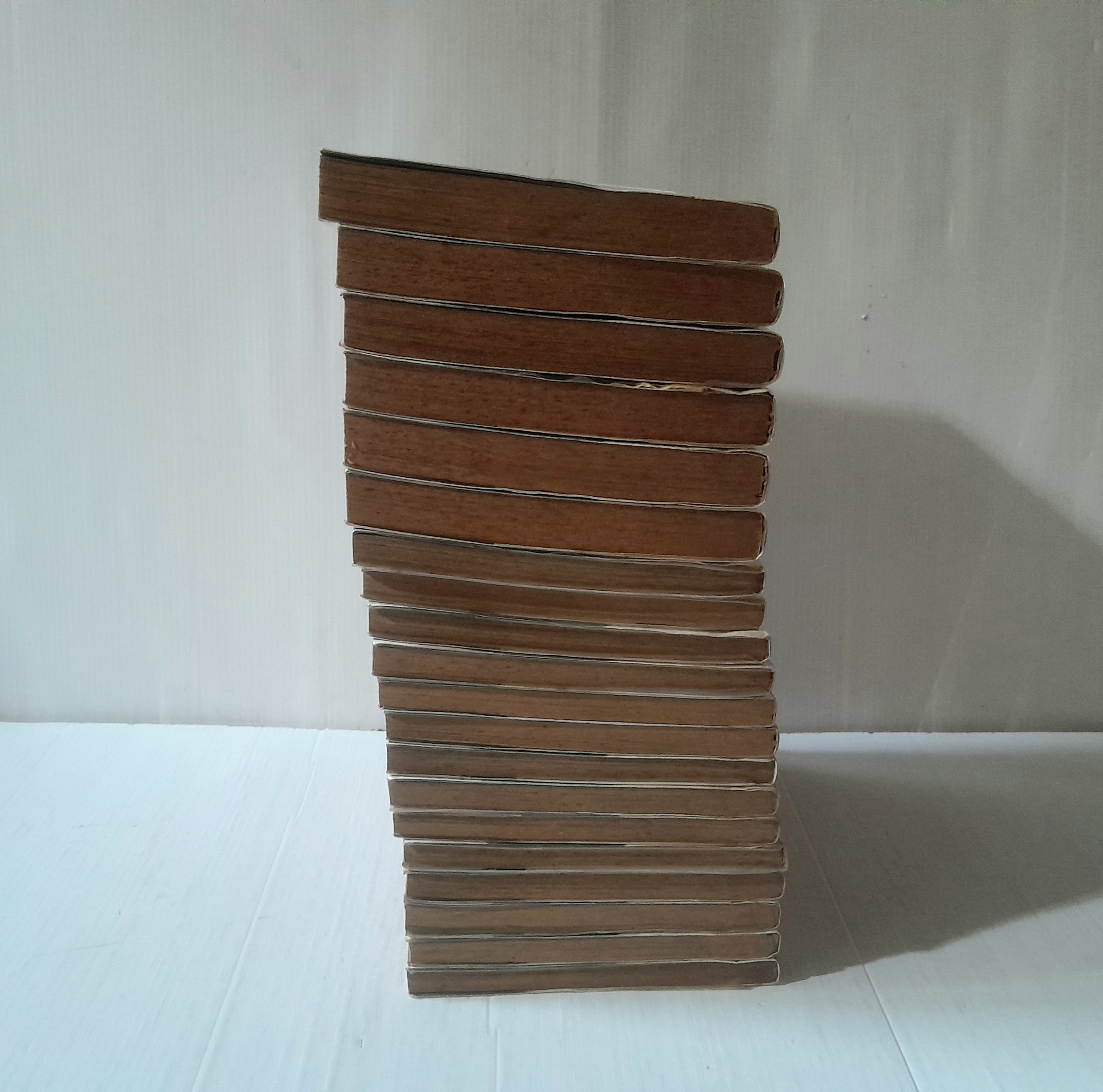 วีรบุรุษทรชน 20 เล่มจบ / อิเคงามิ เรียวอิชิ