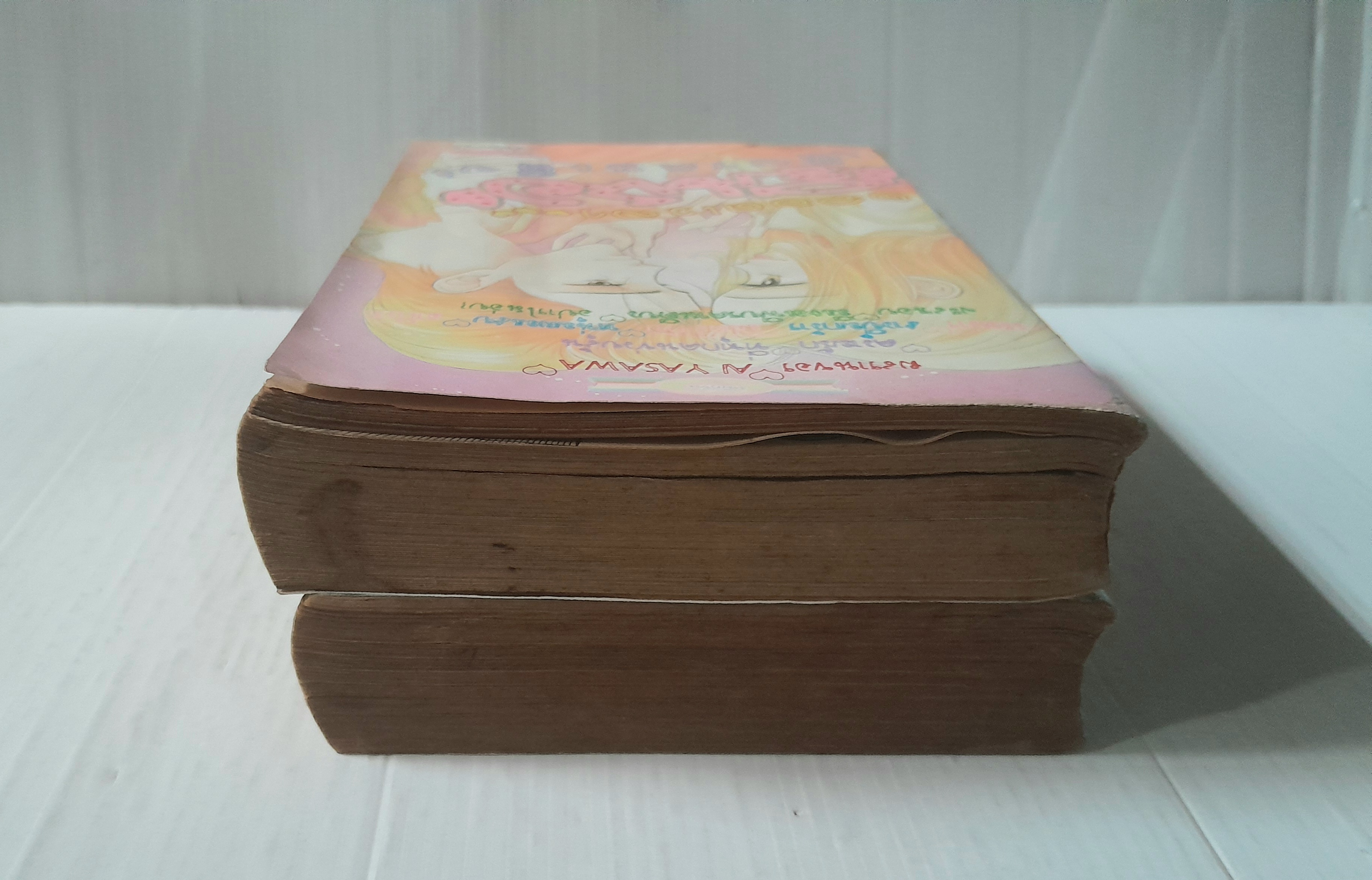 ตลอดเวลามีเธอเพียงคนเดียว 2 เล่มจบ / AI YAZAWA