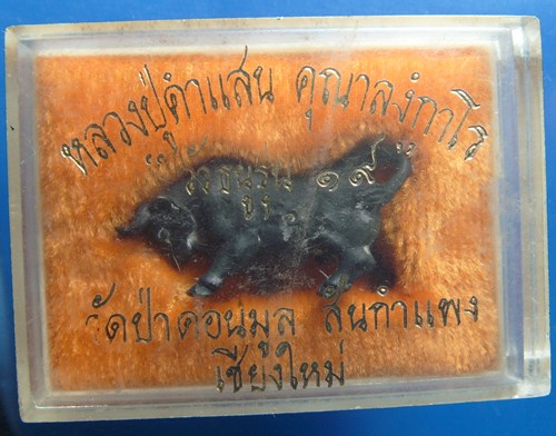 วัวธนูหลวงปู่ครูบาคำแสน