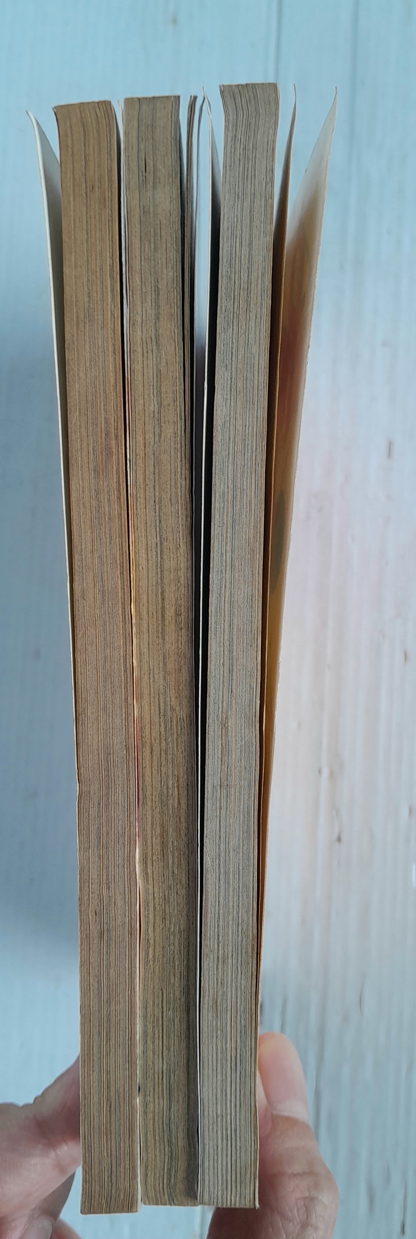 Cotton Candy 3 เล่มจบ / Kumi Makimura