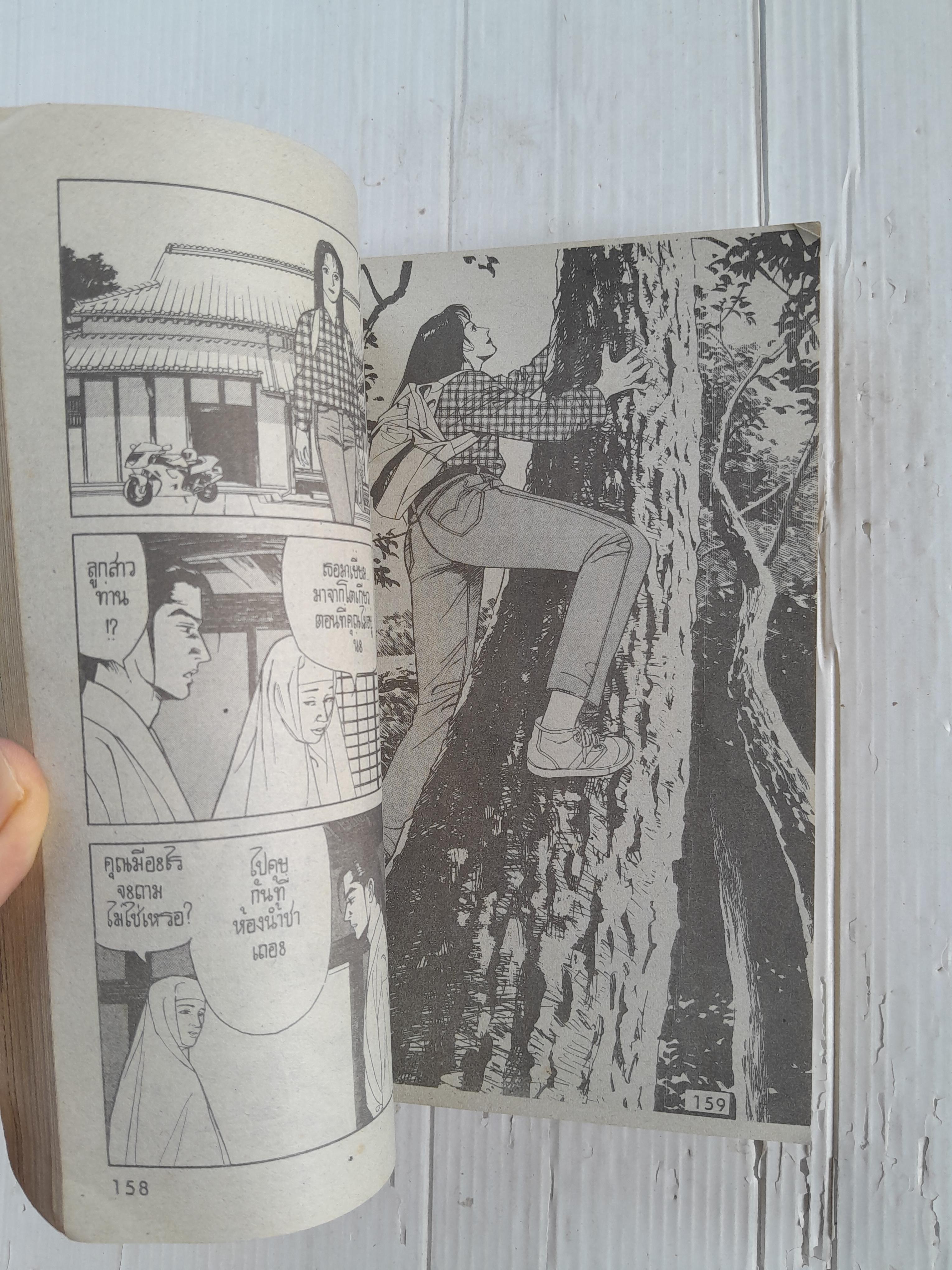 เพลิงแค้นเพลิงปรารถนา (เล่มเดียวจบ)